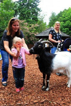 Dzień Dziecka w Gdańskim ZOO fot.1