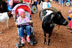 Dzień Dziecka w Gdańskim ZOO fot.4